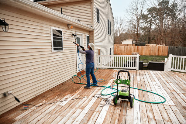 Best Roof Pressure Washing  in St Elmo, IL