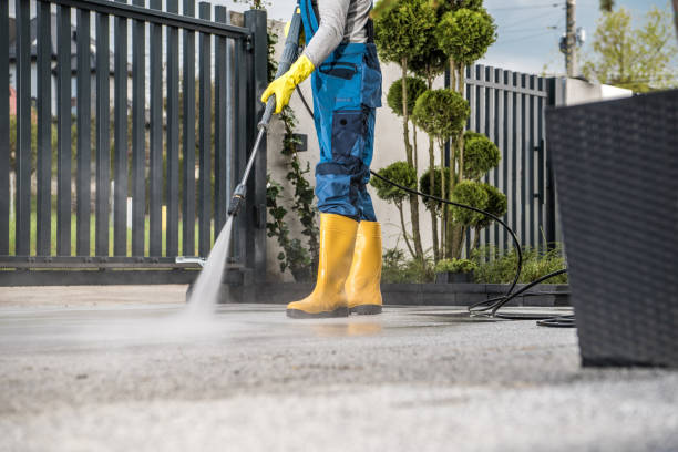 Best Affordable Power Washing  in St Elmo, IL