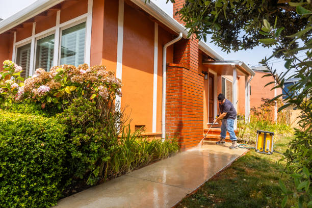 Best Exterior Home Cleaning  in St Elmo, IL