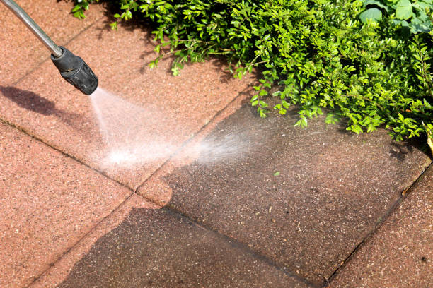 Best Power Washing Near Me  in St Elmo, IL